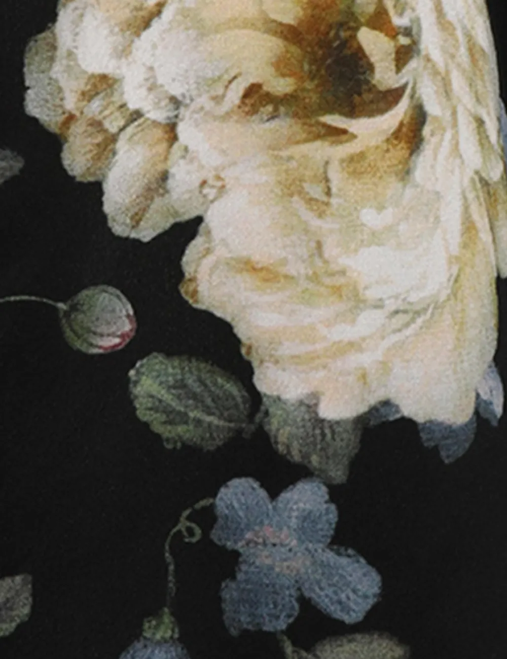 ZIMMERMANN Clothing<Luminosity Blouson Shirt