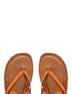 ZIMMERMANN Accessories<Multi-Strap Sandal Flat