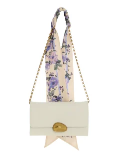 ZIMMERMANN Luminosity<Pebble Evening Mini Chain Bag