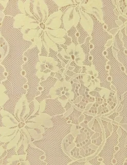 ZIMMERMANN Clothing<Scoop Neck Bodysuit