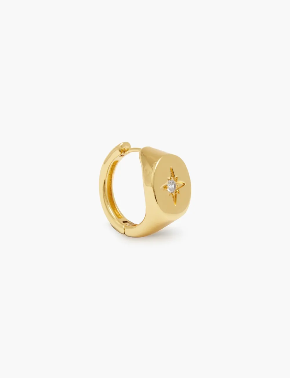 ZIMMERMANN Accessories<Signet Earring
